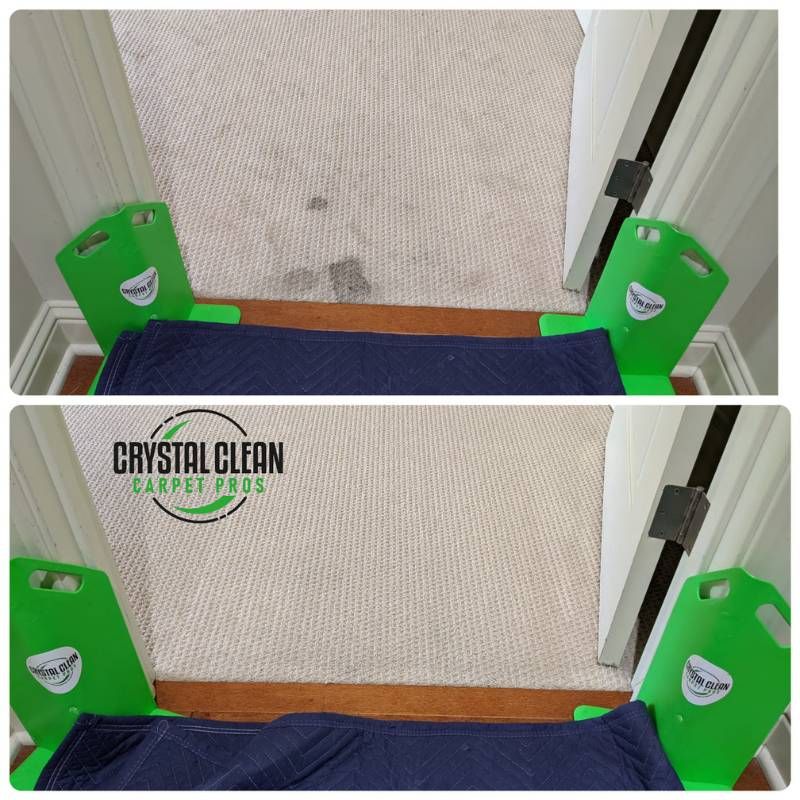 Odor and Stain Removal Results