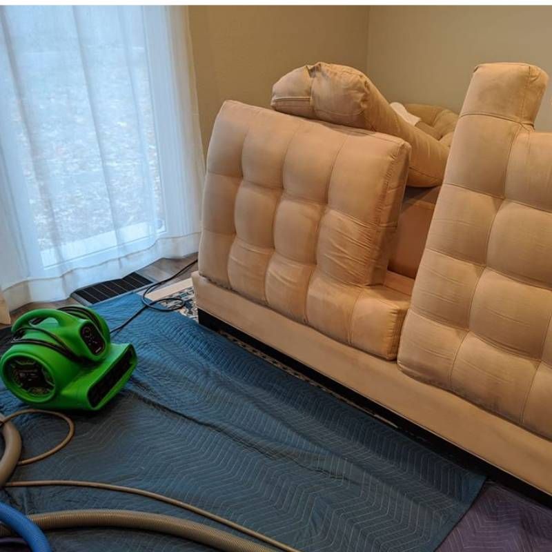 Commercial Upholstery Cleaning Results