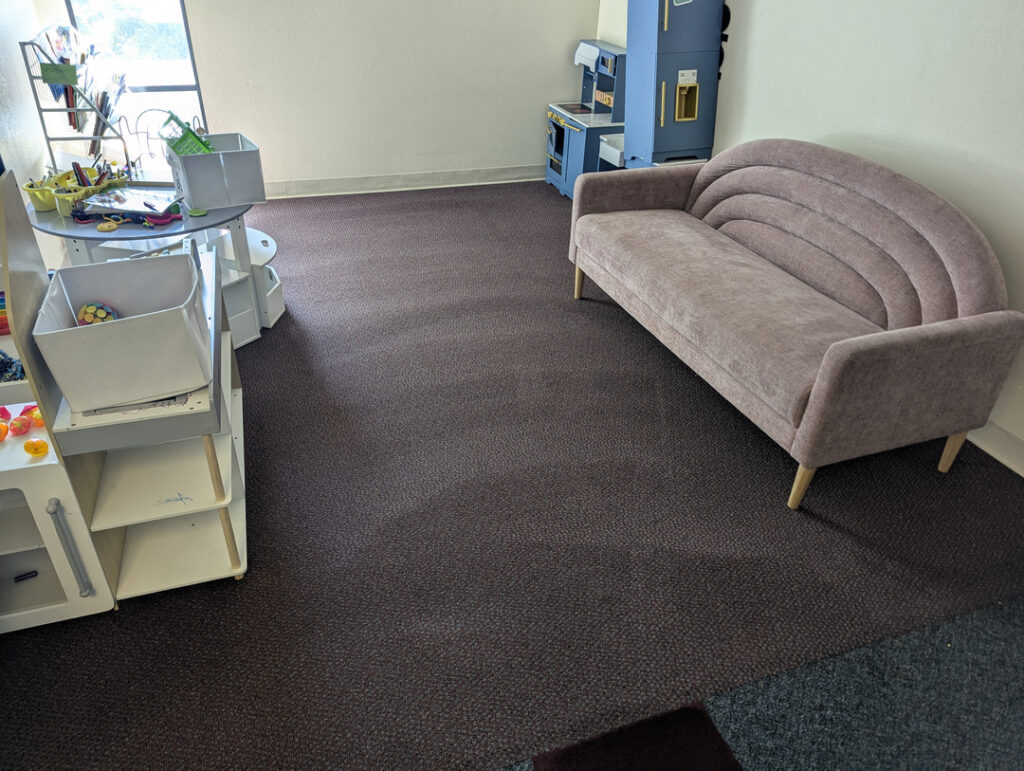 carpet cleaning service being performed in a spacious room with a pink couch and toys arranged on shelves