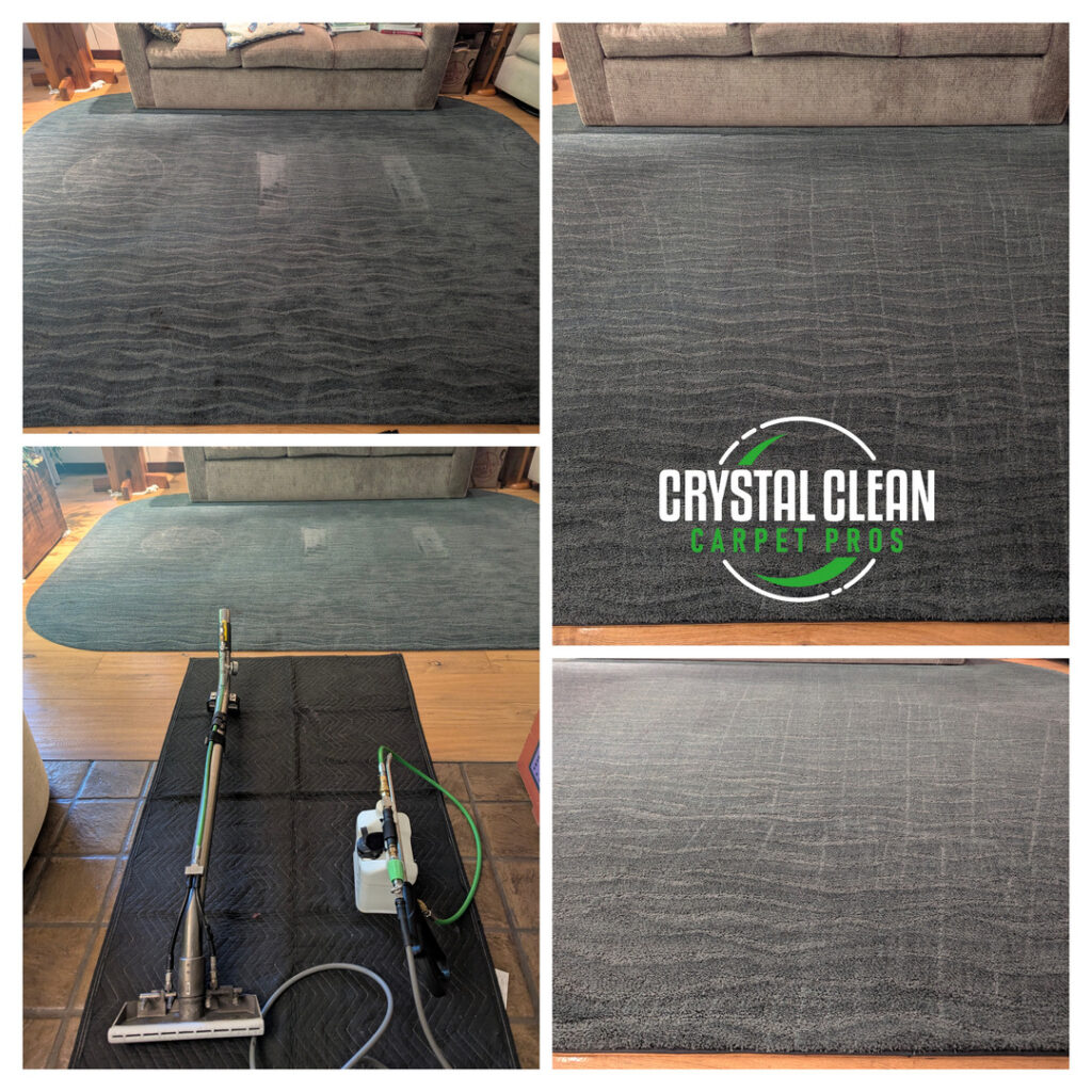 carpet cleaning service in progress with cleaning equipment visible on a rug and differences in cleanliness shown