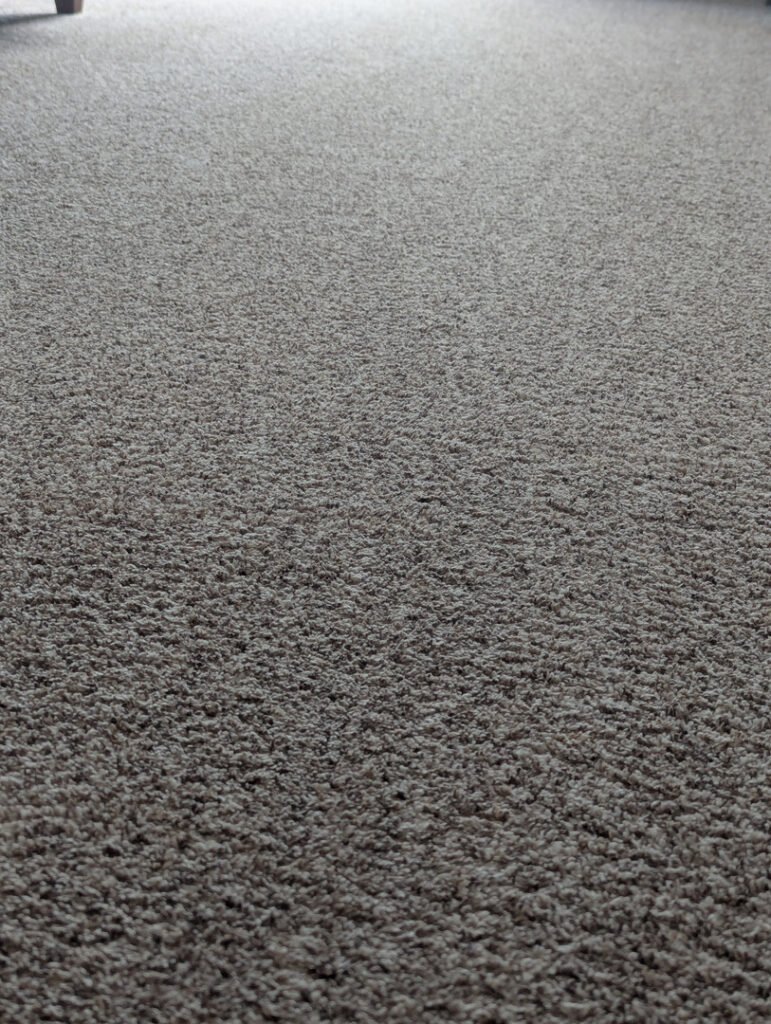 clean carpeting with a light brown texture in a well-lit indoor setting