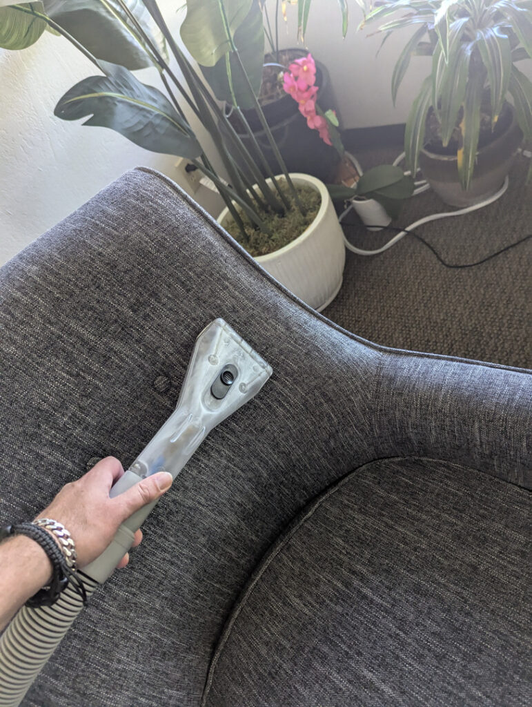 cleaning upholstered furniture with a vacuum attachment in an indoor setting with plants in the background