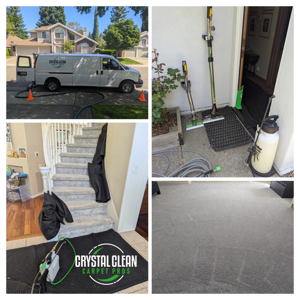 crystal clean carpet pros performing carpet cleaning services using specialized equipment and protective materials for home surfaces