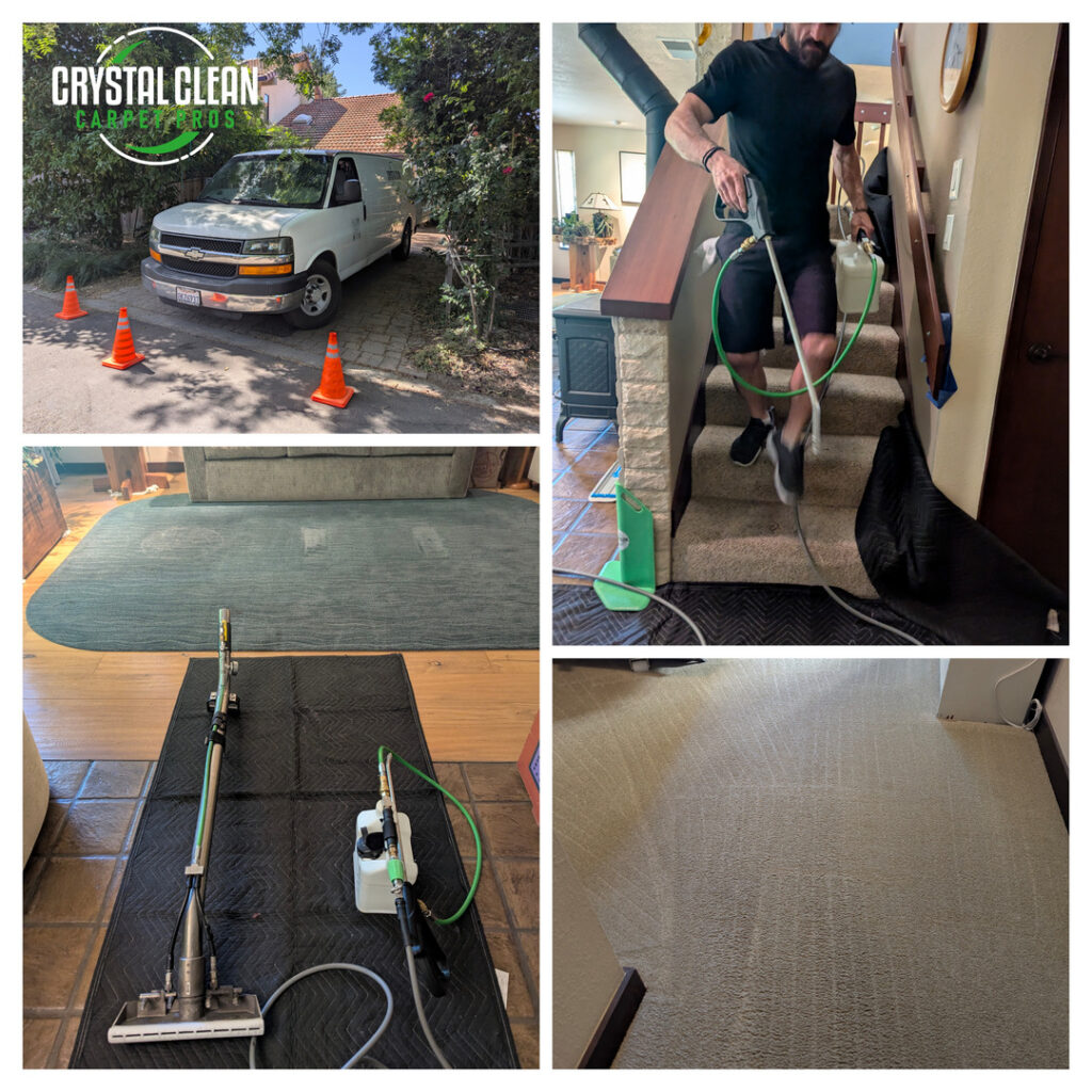crystal clean carpet pros providing carpet cleaning services using equipment on staircases and various indoor flooring surfaces
