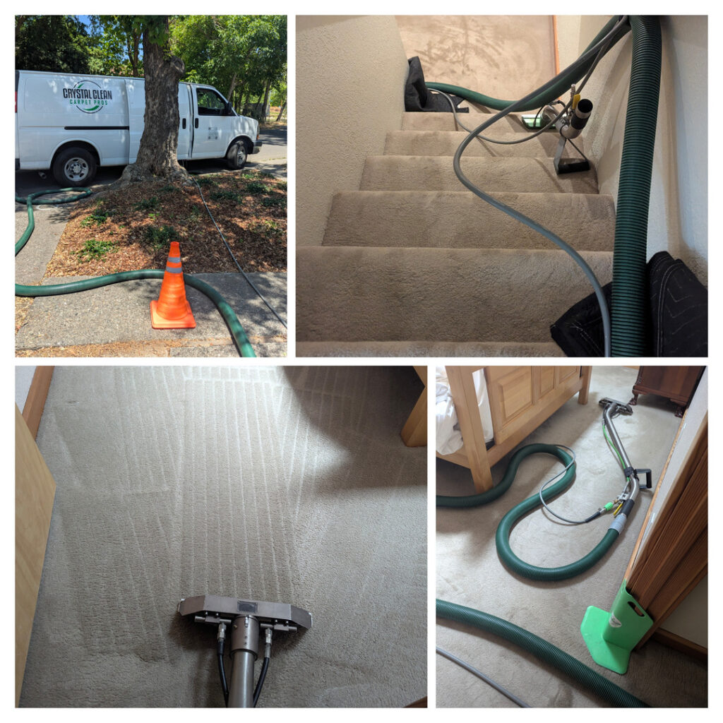 crystal clean carpet pros providing carpet cleaning services with hoses and equipment visible in various areas of a home