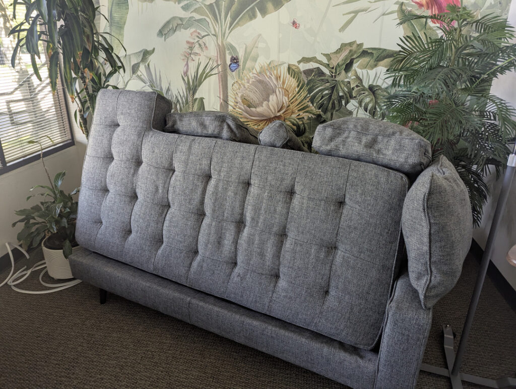 furniture upholstery cleaning with a focus on a gray couch in an office setting amidst plants and a decorative wall